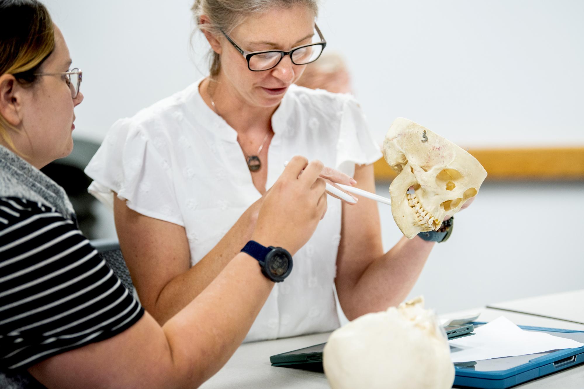 Traverse City Physician Assistant Students studying a skull